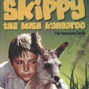 Meet your Posher, Lula